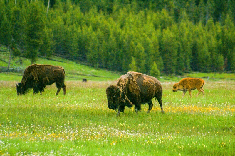 Le long de Fountain Flat Drive