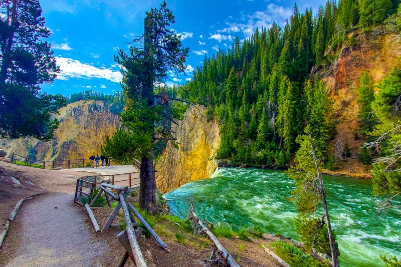 Brink of the Lower Falls