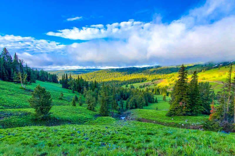 Mount Washburn Trail