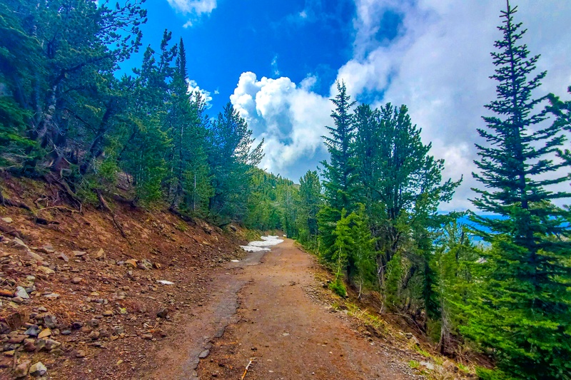 Mount Washburn Trail