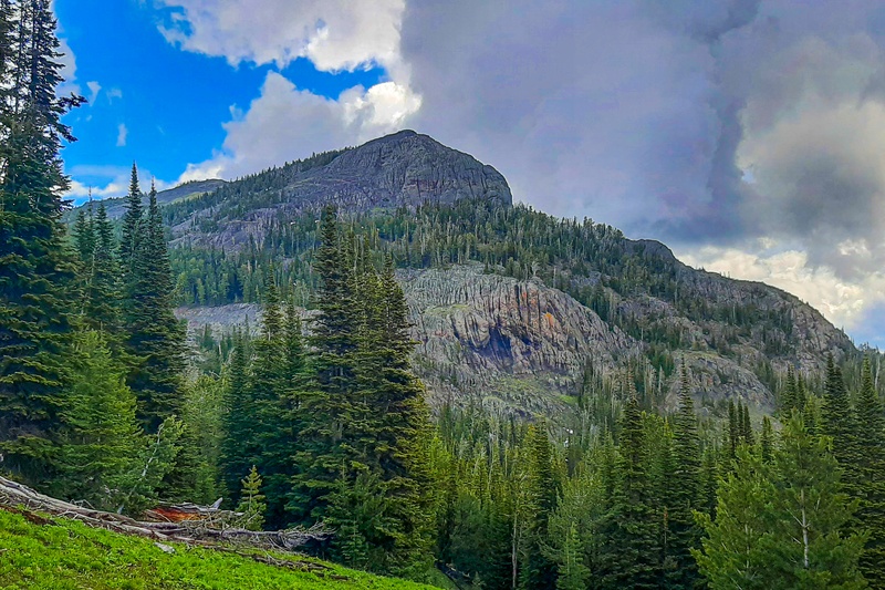 Mount Washburn Trail