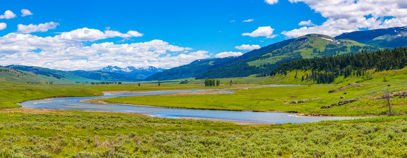 Lamar Valley