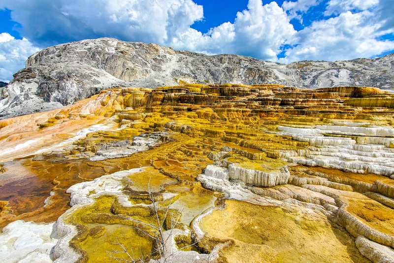 Mammoth Hot Springs Area