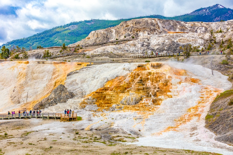 Mammoth Hot Springs