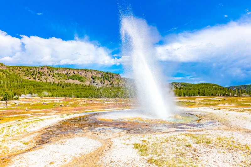 Jewel Geyser