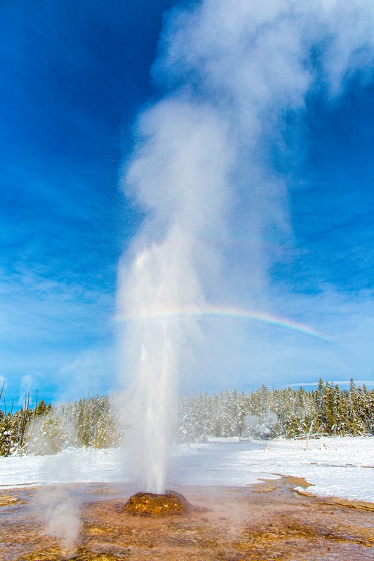 Pink Cone Geyser