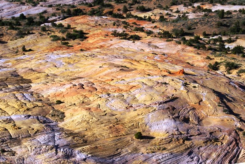 Yellow Rock