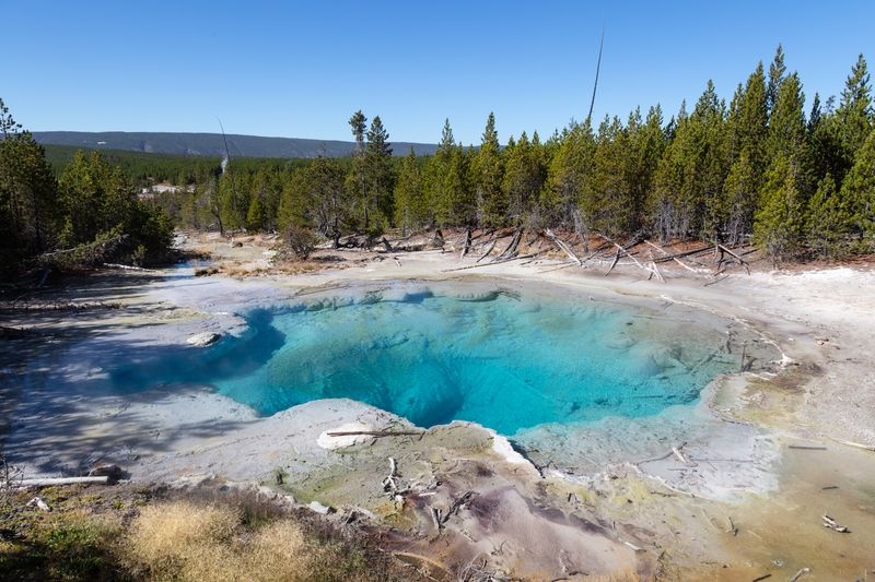 Emerald Spring