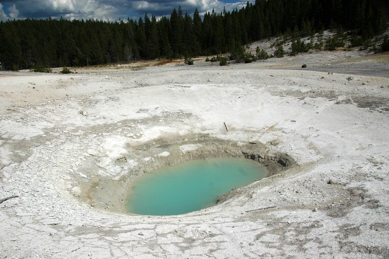 Congress Pool