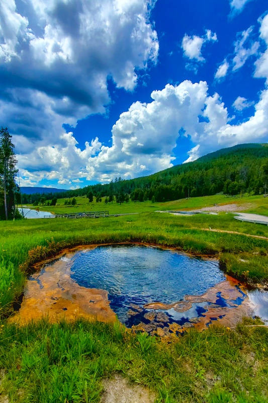 Terrace Springs