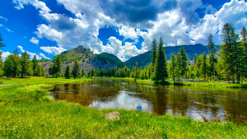 Madison River