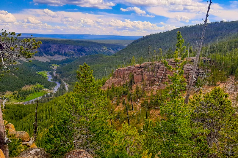Gibbon Canyon