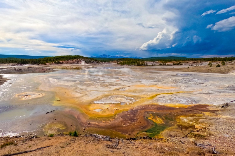 Porcelain Springs