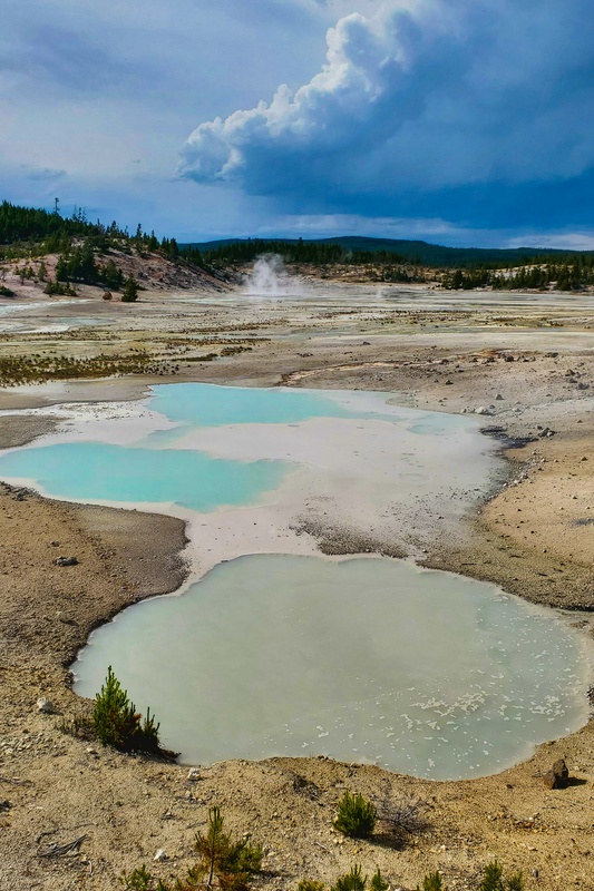 Colloidal Pool
