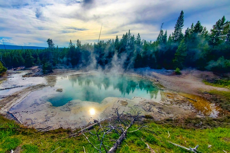 Emerald Spring