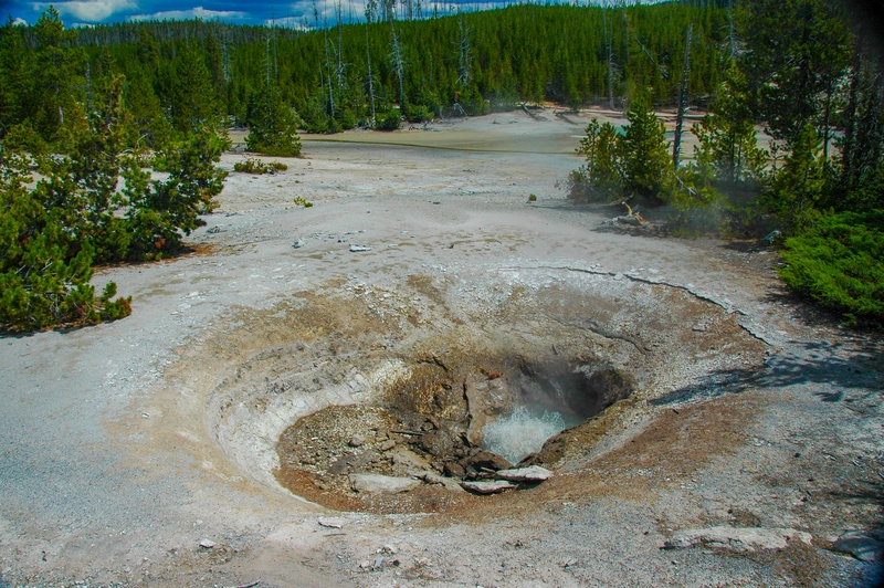 Yellow Funnel Spring