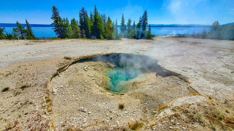 Ledge Spring