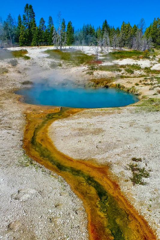 Lakeside Spring