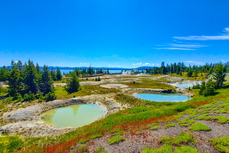 Painted Pools