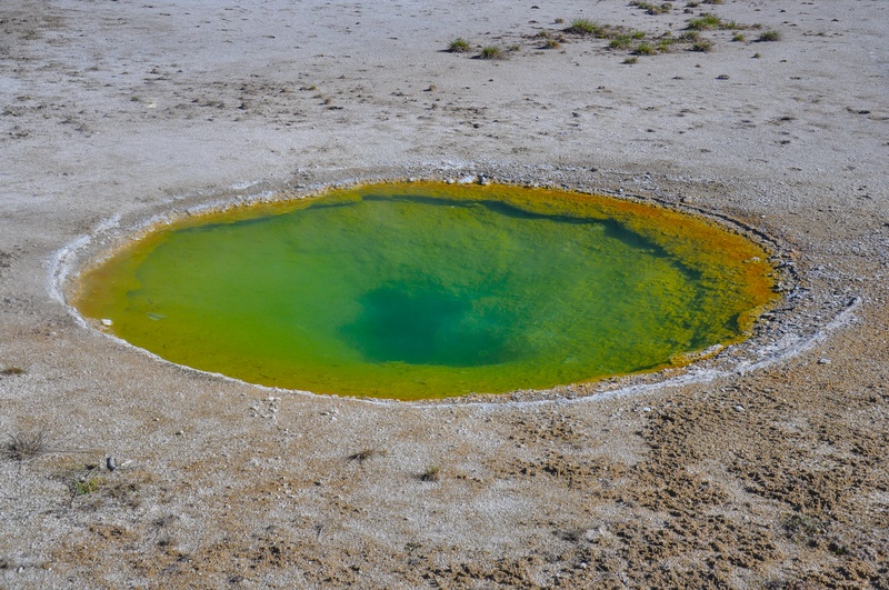 Ephedra Spring