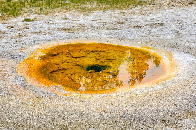 Economic Geyser