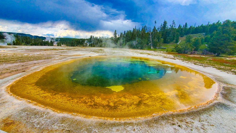 Beauty Pool