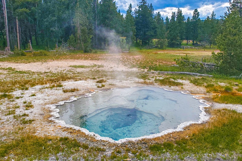 Shield Spring