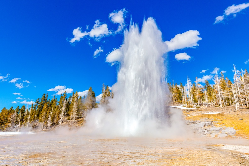 Old Faithful Area Le Guide De Visite Complet Et Indispensable Old Faithful Area Le Guide De Visite Complet Et Indispensable