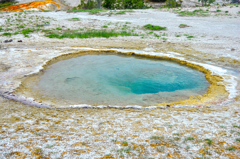 Bronze Spring