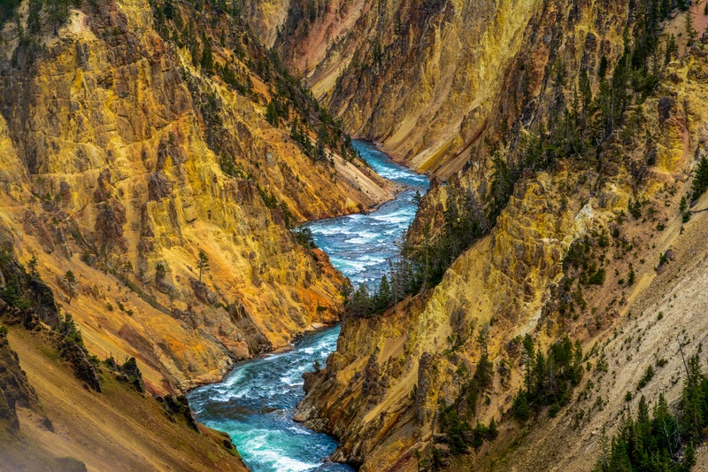 Brink of the Lower Falls