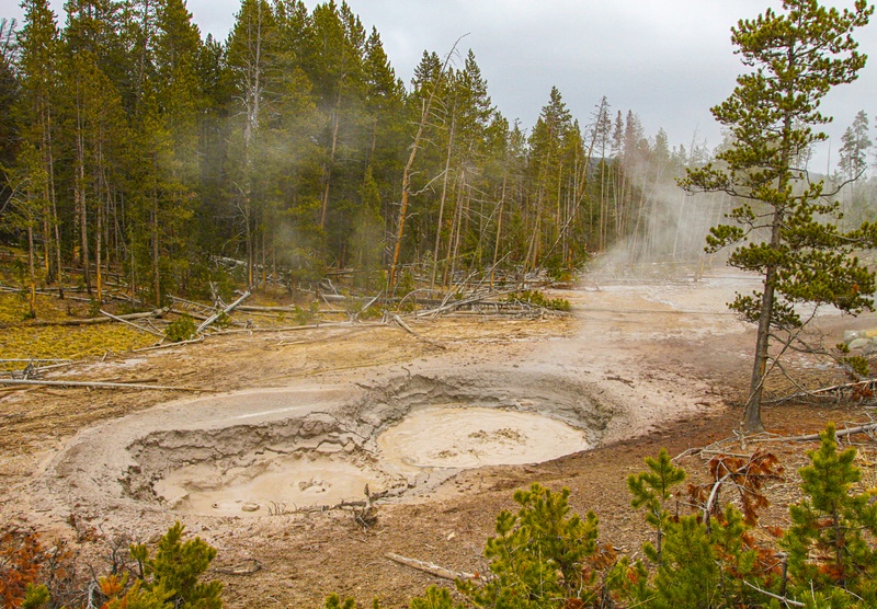 Mud Pots