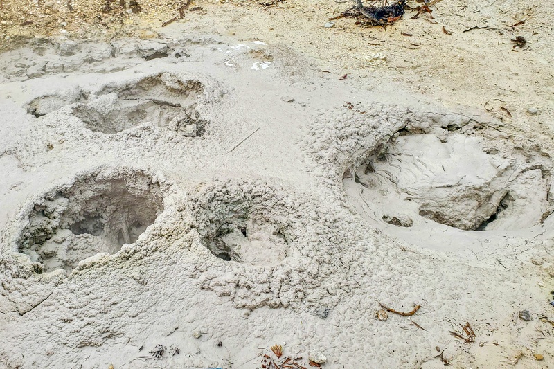 Grizzly Fumarole