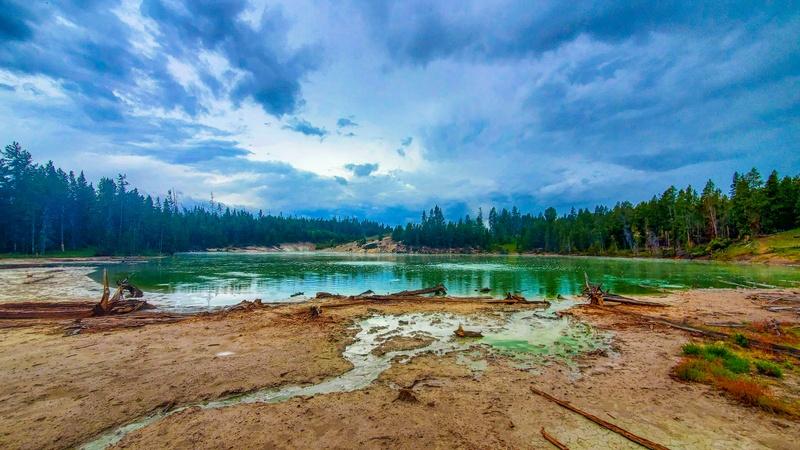 Sour Lake