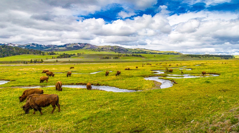 Lamar Valley