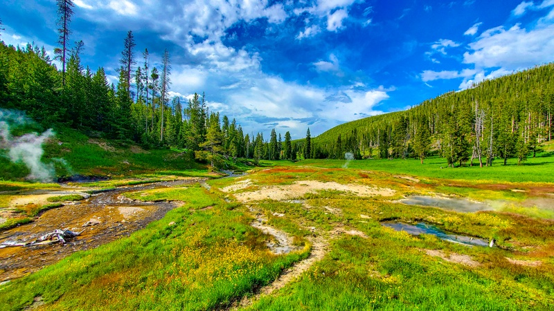 Clearwater Springs