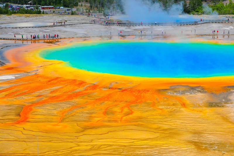 Old Faithful Area