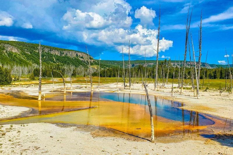 Opalescent Pool