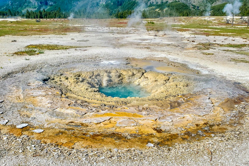 East Mustard Spring