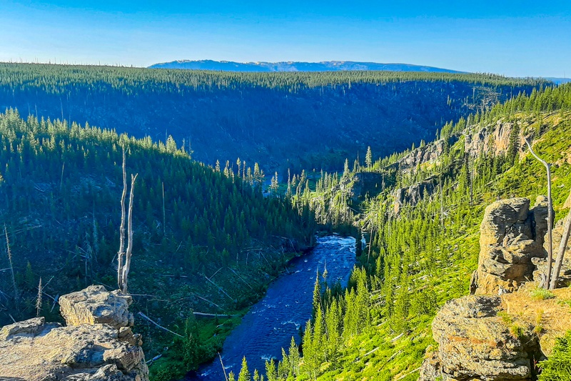 Lewis River