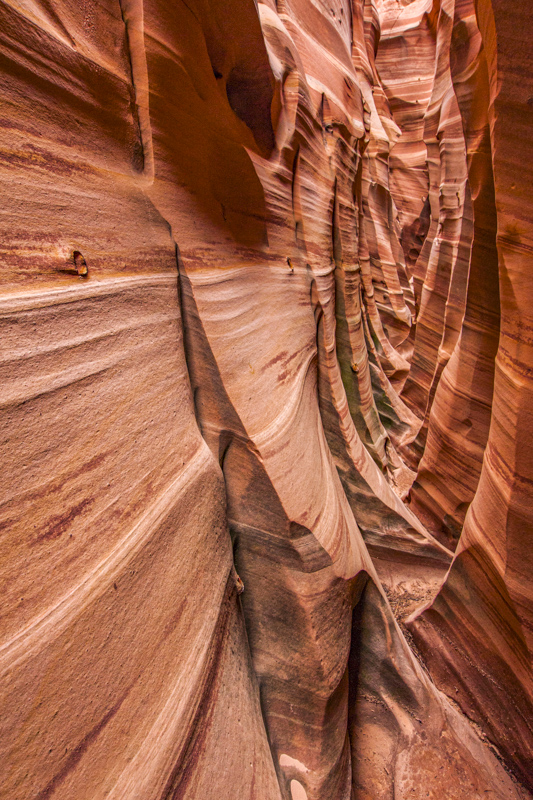 Zebra Slot Canyon