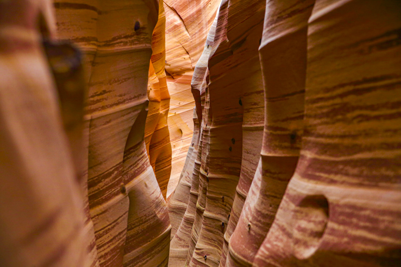 Zebra Slot Canyon