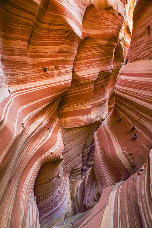 Zebra Slot Canyon