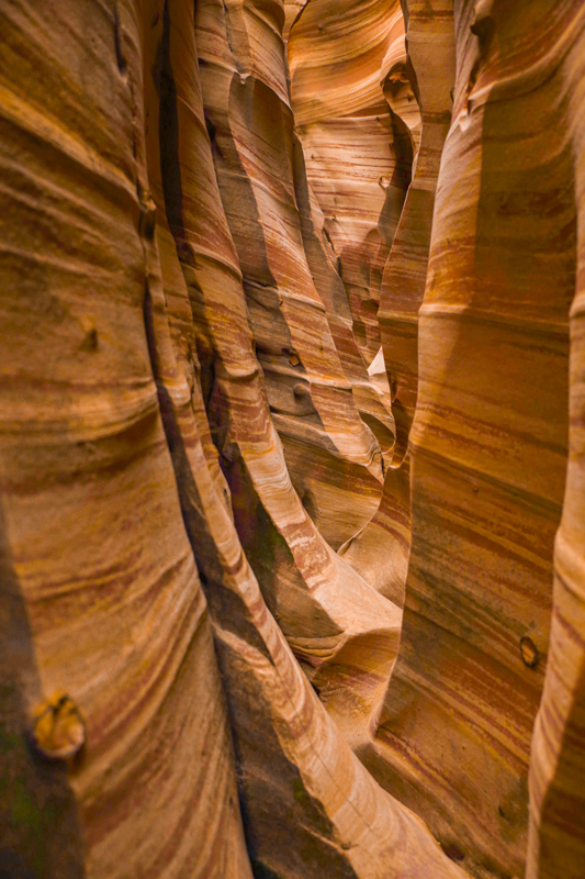 Zebra Slot Canyon