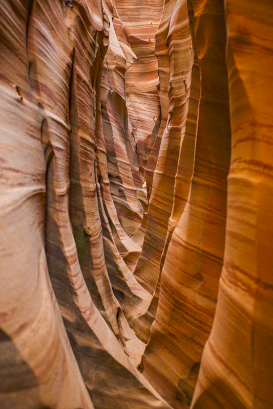 Zebra Slot Canyon