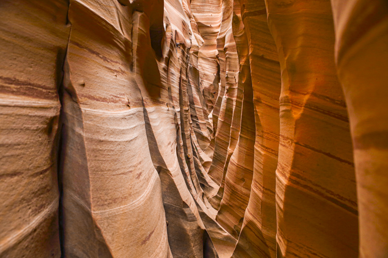 Zebra Slot Canyon