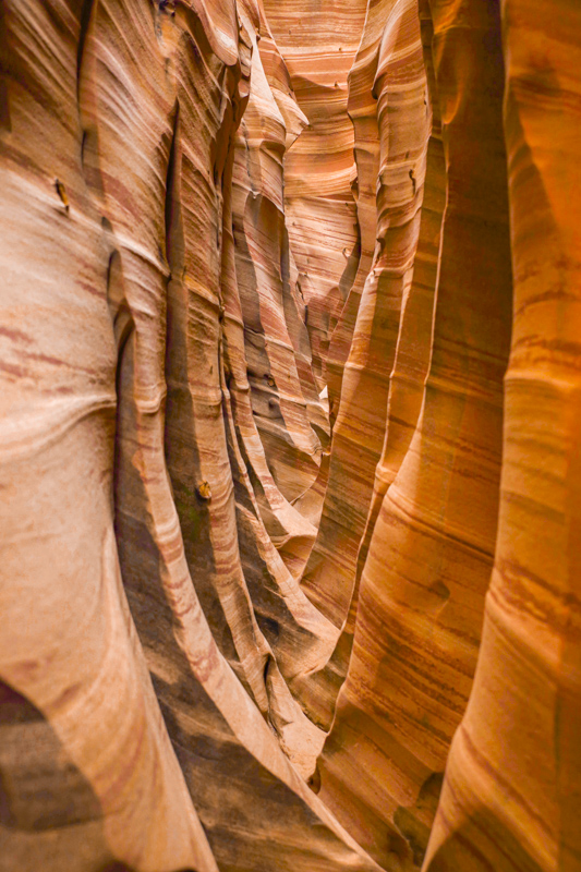 Zebra Slot Canyon