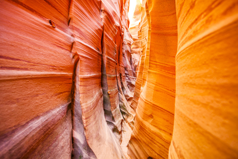 Zebra Slot Canyon