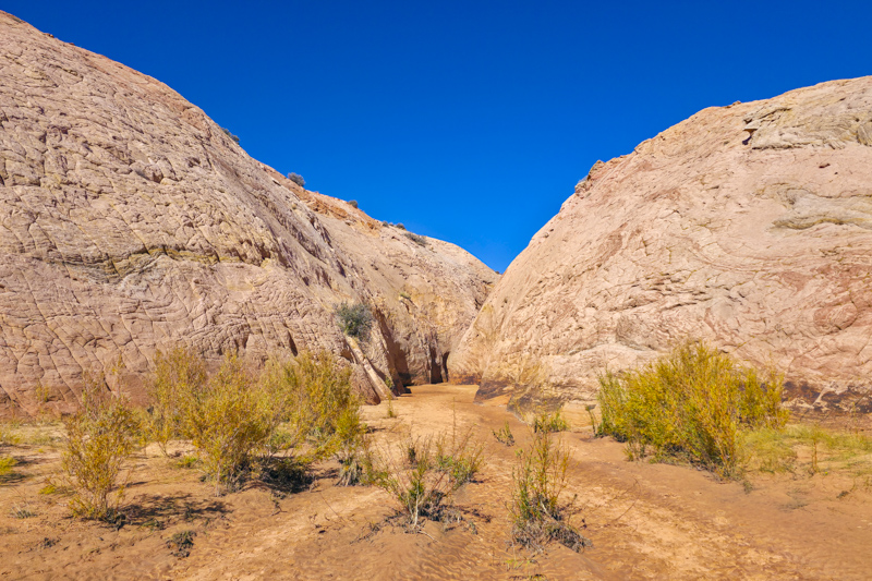 Entr&eacute;e de Zebra Slot Canyon