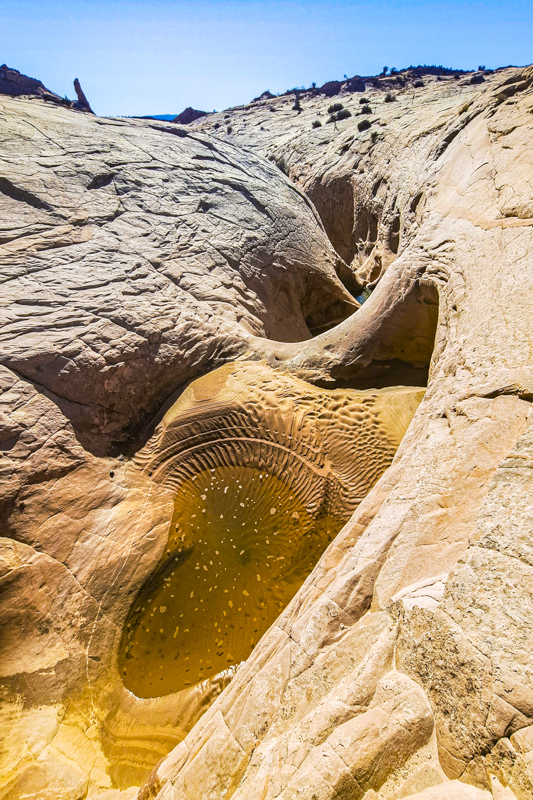 Extr&eacute;mit&eacute; Nord de Zebra Slot Canyon