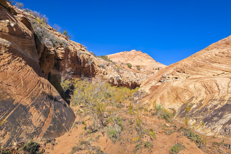 Entr&eacute;e du wash de Tunnel Slot Canyon